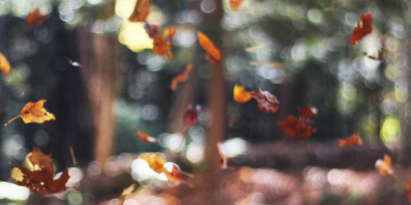 从一碗螺蛳粉到长久信赖:广西本地生活服务的售后秘诀与客诉处理艺术