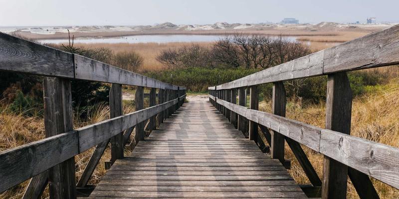 从田间到指尖：广西“新农人”培育计划如何用柳州螺蛳粉与本地服务，重塑乡村电商版图