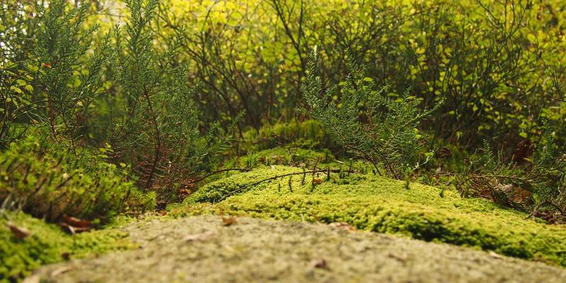 广西淘与文旅融合新范式：打造“旅游+电商”一站式消费体验的深度攻略
