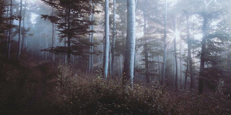 广西淘平台广告投放ROI实战指南：中小商家低成本引爆广西特产销量的秘诀