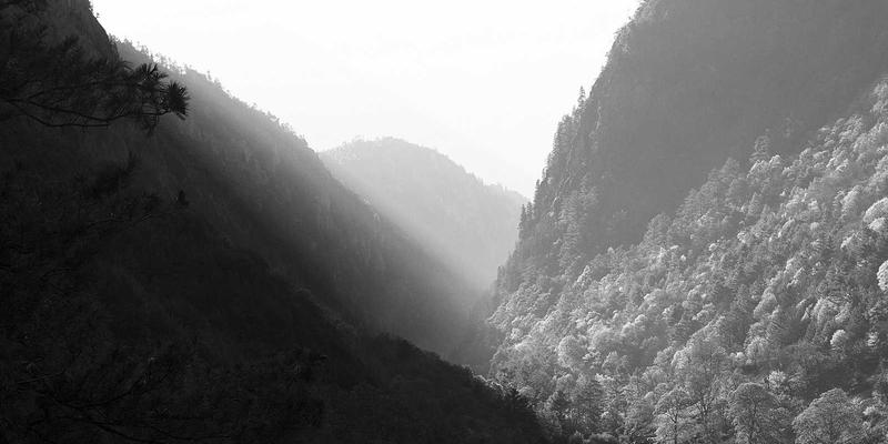 广西淘：数字赋能本地生活，打造乡村振兴“桂”在行动新样本